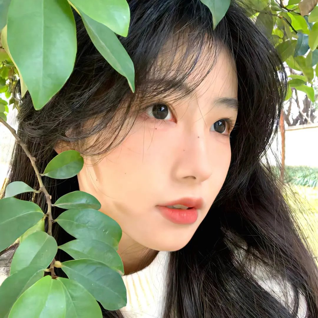 洞穴客